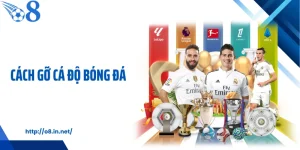 Cách Gỡ Cá Độ Bóng Đá Và Những Sự Thật Ít Ai Nhắc Đến